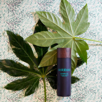 Oolaboo Oil Control Wash